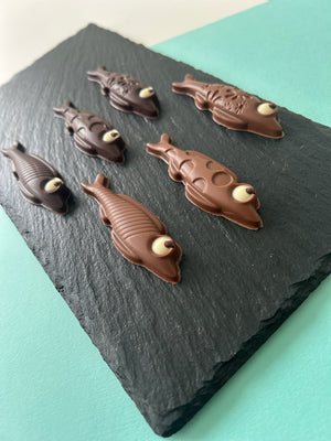 6 sardines en chocolat artisanal  (chocolat noir et chocolat au lait) – une création unique de M. & Mme Chocolat, conçue à Montréal dans la Petite Patrie et livrable partout au Québec.